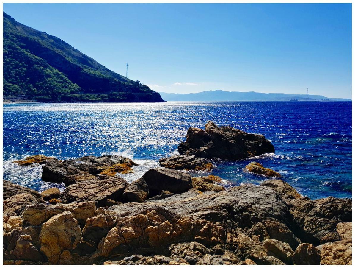 Sea 26 Scilla